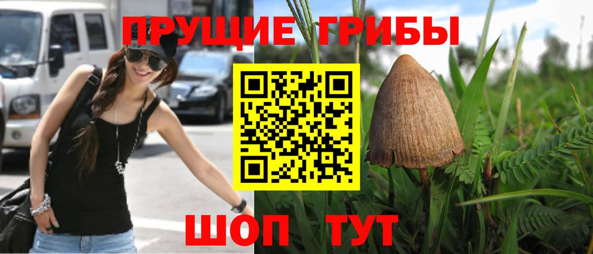 Псилоцибиновые грибы мухоморы Пенза